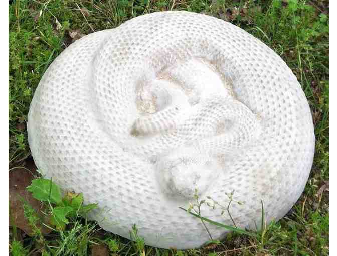 Cement Stepping Stones or Yard Decorations