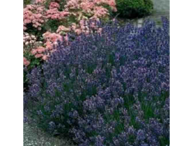 $200 Gift Card to Corliss Bros. Nursery & Garden Center