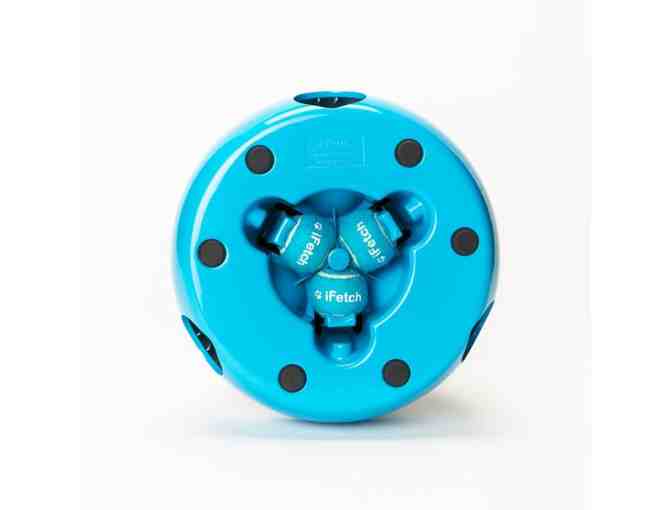 iFetch Frenzy - Small to Midsize Dogs