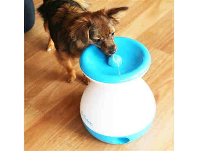 iFetch Frenzy - Small to Midsize Dogs