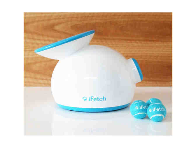 iFetch Automatic Ball Launcher - Small