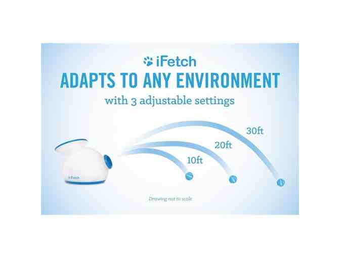 iFetch Automatic Ball Launcher - Small