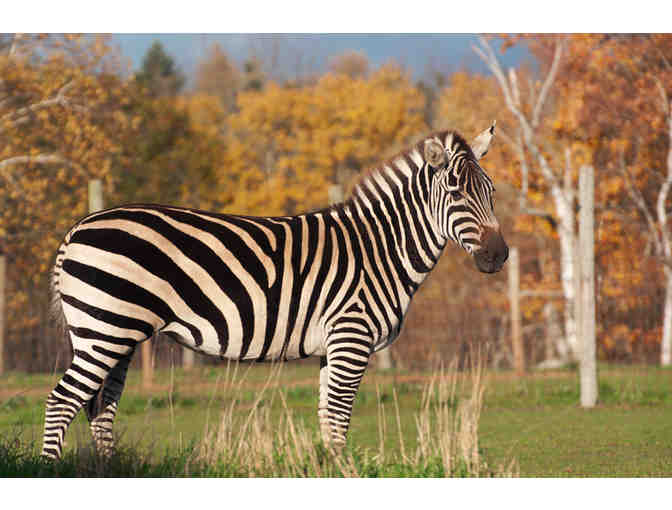 Oaklawn Farm Zoo Family Pass