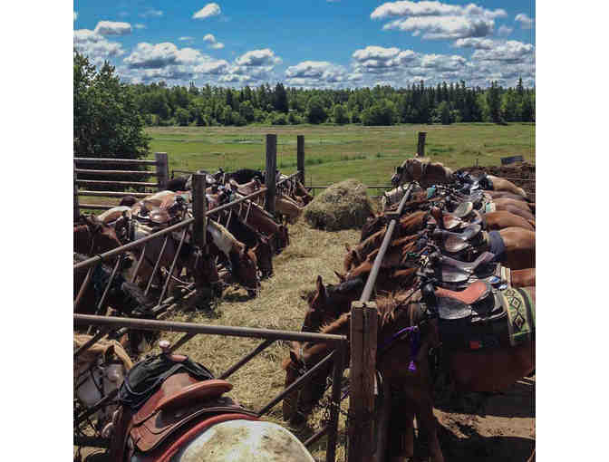 Evangeline Trail Ride $50 Gift Certificate x 2