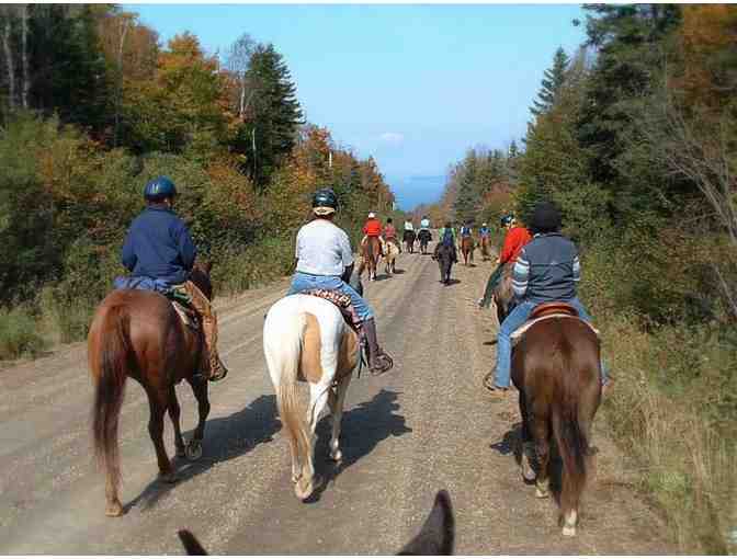 Evangeline Trail Ride $50 Gift Certificate x 2