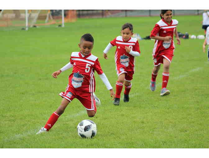 6 Week Summer Soccer Program at West Loop Soccer Club (ages 2-12) - good for 2020 or 2021!