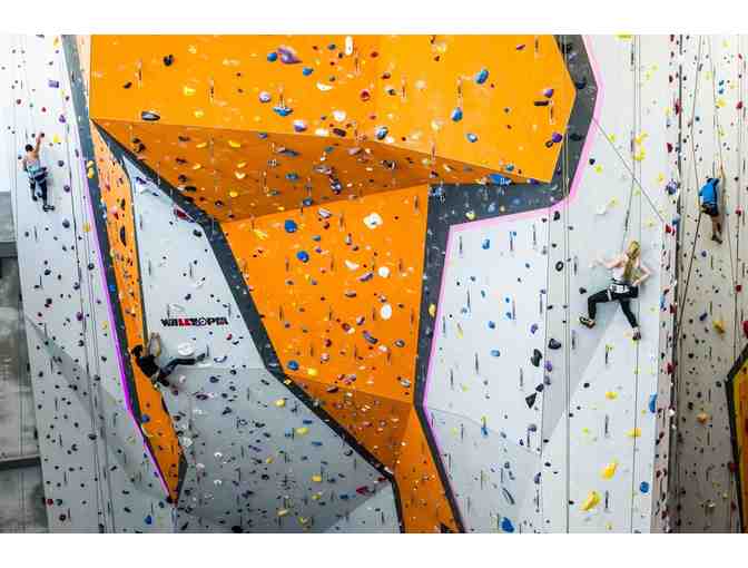 Family Climbing Day package at First Ascent Climbing & Fitness
