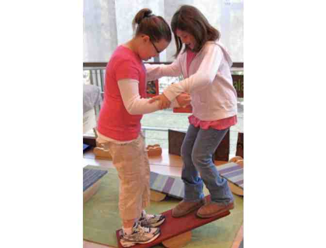 12' x 24' Balance Board from Balance thru Motion