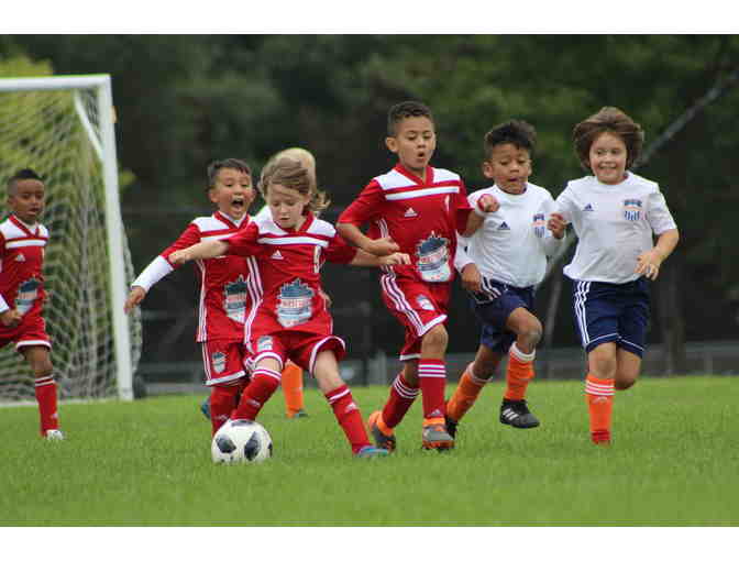 6 Week Summer Soccer Program at West Loop Soccer Club (ages 2-12) - good for 2020 or 2021!