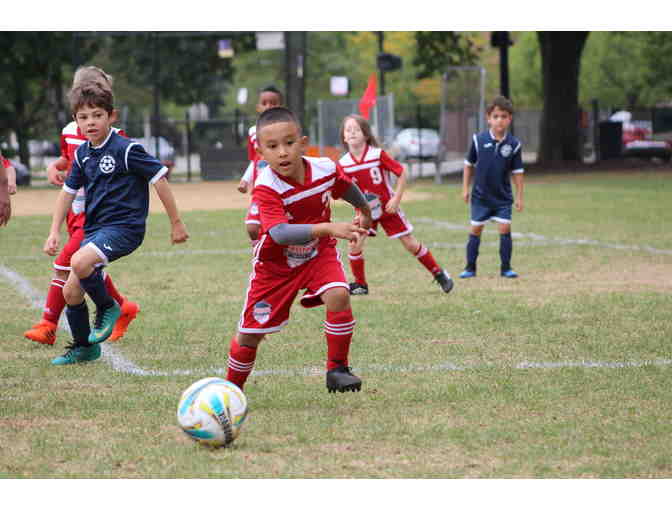 6 Week Summer Soccer Program at West Loop Soccer Club (ages 2-12) - good for 2020 or 2021!