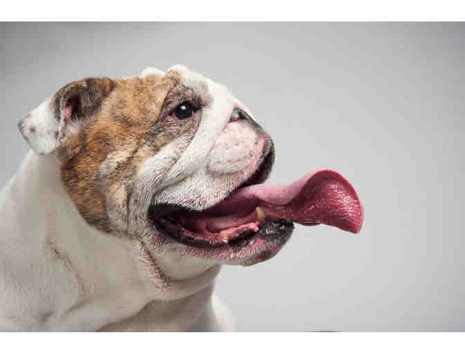 Classic Kids Weekday Pet Sitting for up to 2 pets, plus 8x10 fine art print