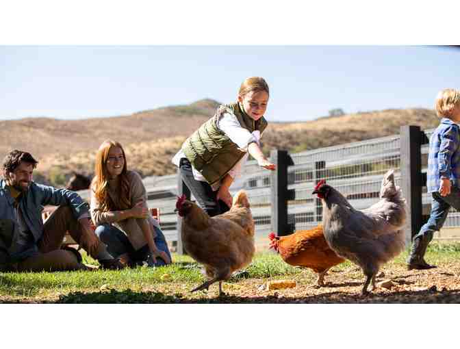 Experience The Lodge at Blue Sky - Utah!