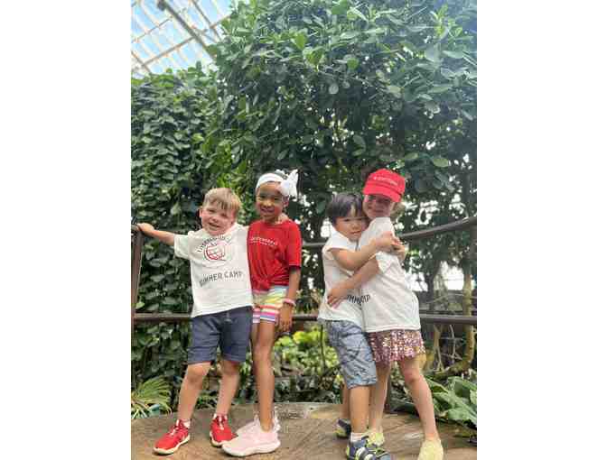 One Week of Summer Camp at Intercultural Montessori Language School 2024
