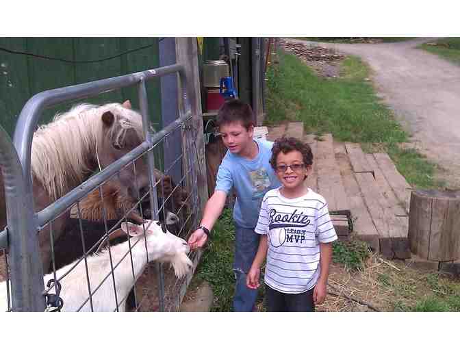 Sleep in a Luxury Caboose in the Smokies! 2 of 2