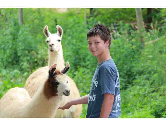 Sleep in a Luxury Caboose in the Smokies! 2 of 2