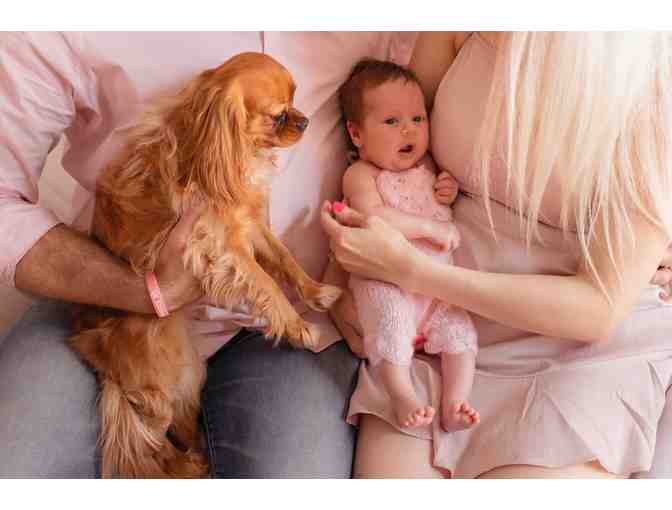 Family Photo Shoot in Chicago Area 2 of 2