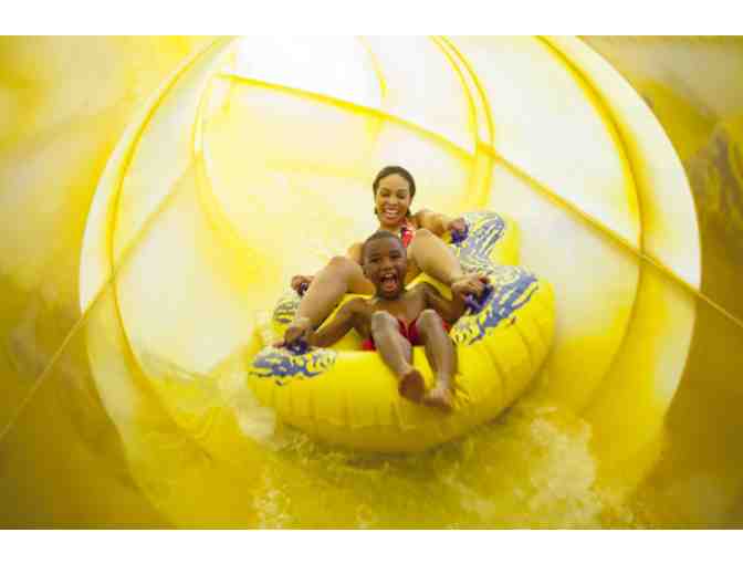 Family Waterpark Getaway! (WI Dells)