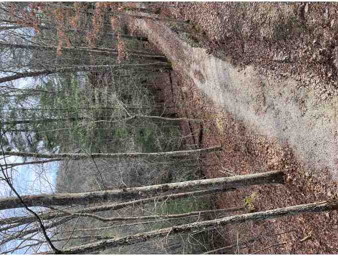 RED RIVER GORGE WITH UNDERGROUND KAYAK ADVENTURE FOR 8 | 3 NIGHTS