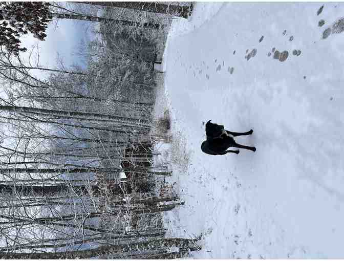 RED RIVER GORGE WITH UNDERGROUND KAYAK ADVENTURE FOR 8 | 3 NIGHTS