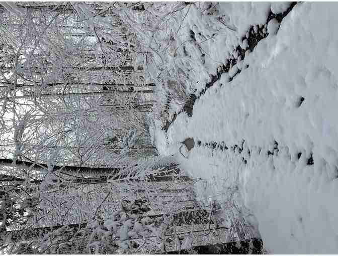 RED RIVER GORGE WITH UNDERGROUND KAYAK ADVENTURE FOR 8 | 3 NIGHTS