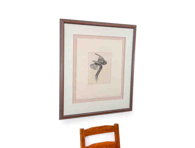 American Kestrel by Michael Dumas