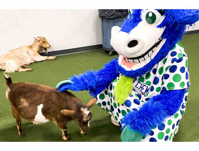 4 Tickets to a Hartford Yard Goats Baseball Game