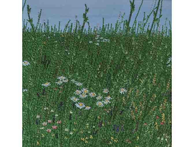 Among The Daisies (Judi Miller)