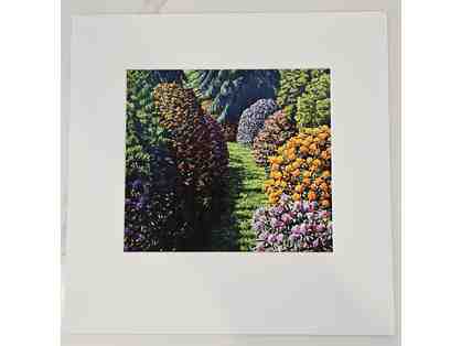 Karl Maughan - New Zealand - Cross Hills