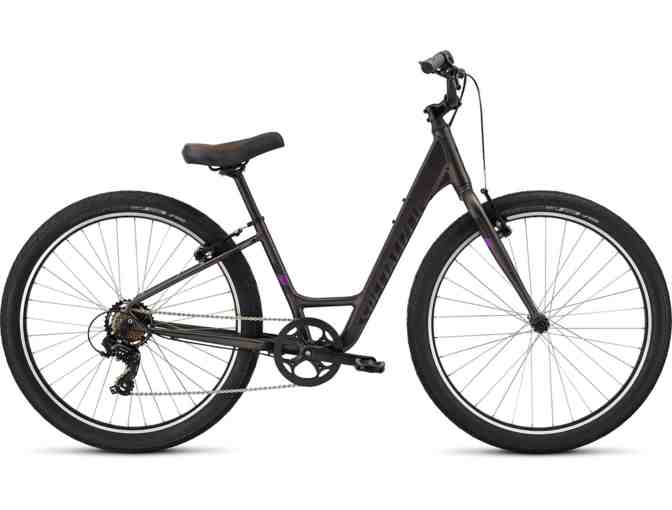 The Hub Bike Shop - Roll Low-Entry Bike