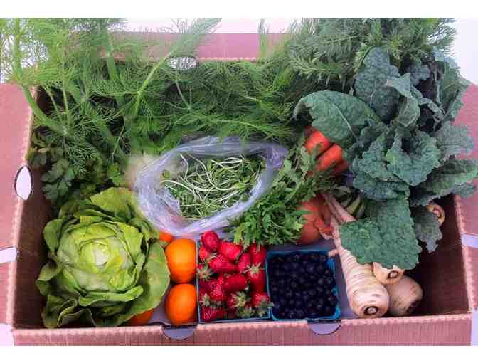 Build your own perfect harvest box with a $50 gift certificate from Local Harvest Delivery