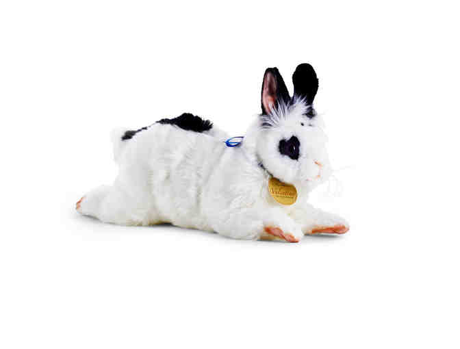 Valentino The Love Bunny Package
