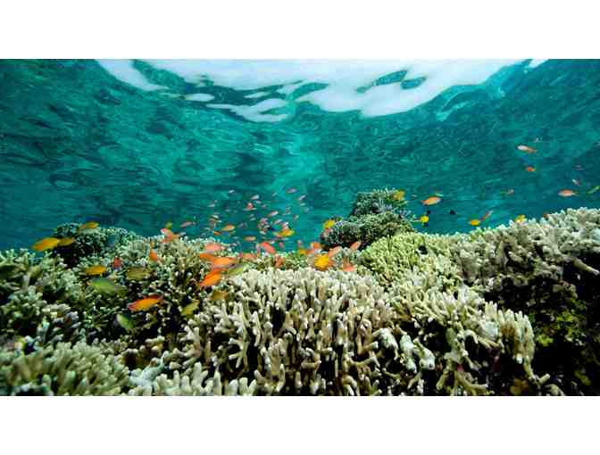 3 Nights Stay in an Overwater Bungalow Suite at the Four Seasons Resort, Bora Bora