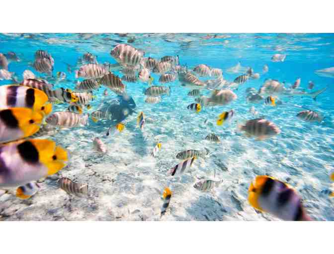 3 Nights Stay in an Overwater Bungalow Suite at the Four Seasons Resort, Bora Bora