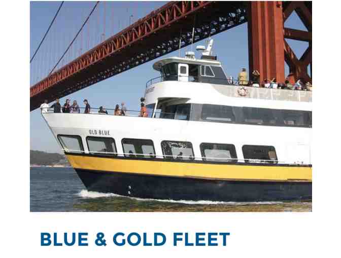 Fun Adventures on San Francisco's PIER 39