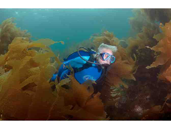 Jean-Michel Cousteau's Ocean Futures Society, Body Glove Men's Size Large .5mm Wetsuit