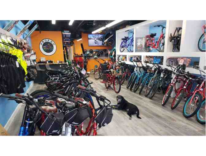 Half-Day Electric Bike Rental for 4