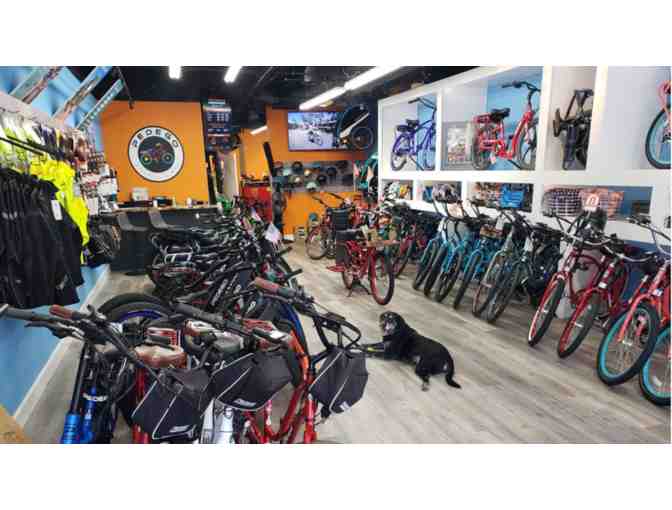 Half-Day Electric Bike Rental for 4