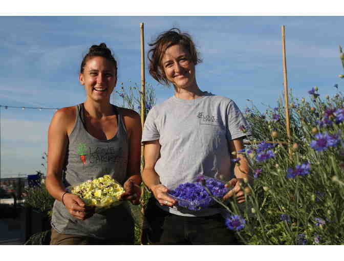 Love and Carrots Consultation - Home Organic Garden Installation and Design