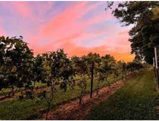 Basignani Winery - Wine Tasting for Four