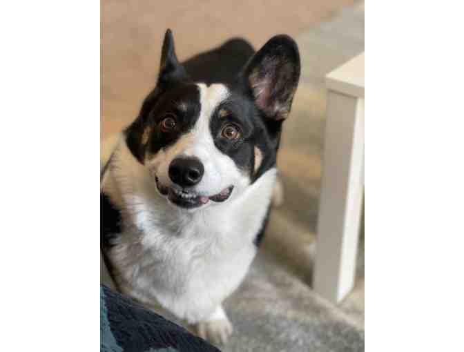 Playdate with Irene and Winston