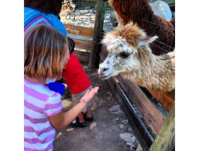 2 Tickets to Catoctin Wildlife Preserve and Zoo