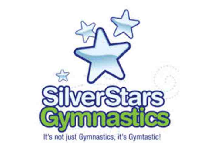 Silver Stars Gymnastics: Birthday Party