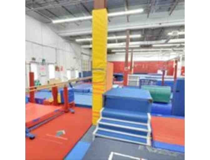 Silver Stars Gymnastics: Birthday Party