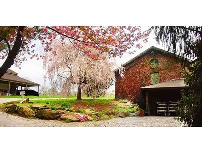 Basignani Winery - Wine Tasting for 4