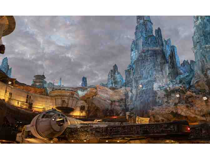 Disney World Dreaming - Photo 7