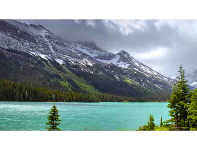 Wondrous Whitefish - Photo 1