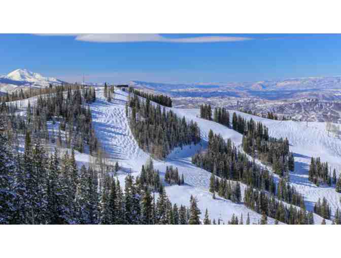 Wondrous Whitefish - Photo 2