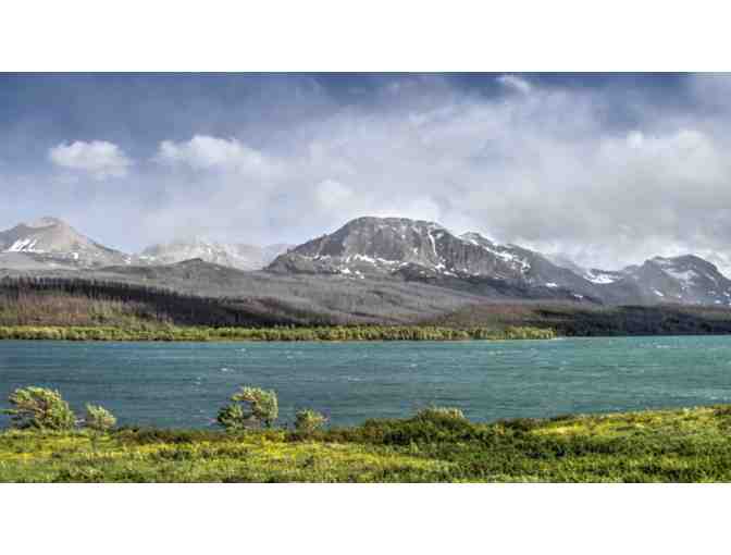 Wondrous Whitefish - Photo 3