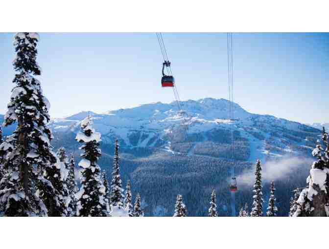 Wondrous Whitefish - Photo 4