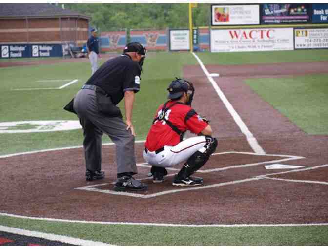 Baseball Outing for Four with the Washington Wild Things!